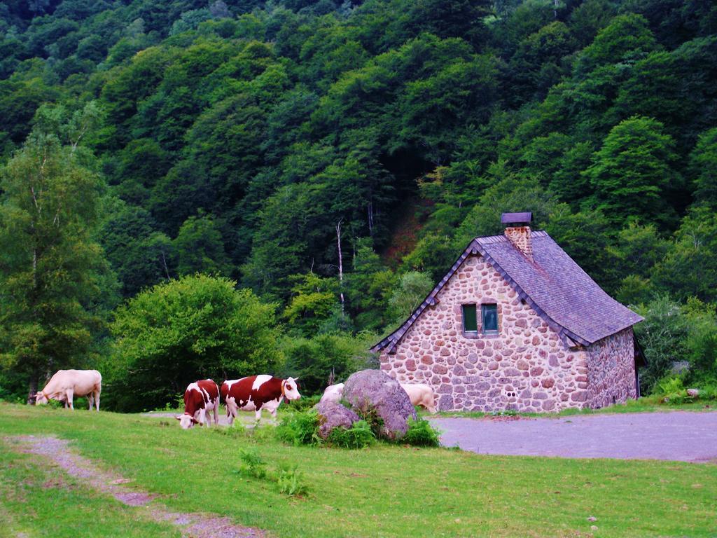 Les chalets de la forêt d'Issaux Osse-en-Aspe Exterior foto